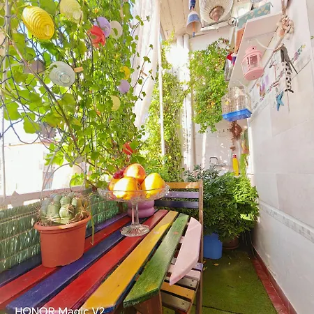 Casa de hóspedes In *